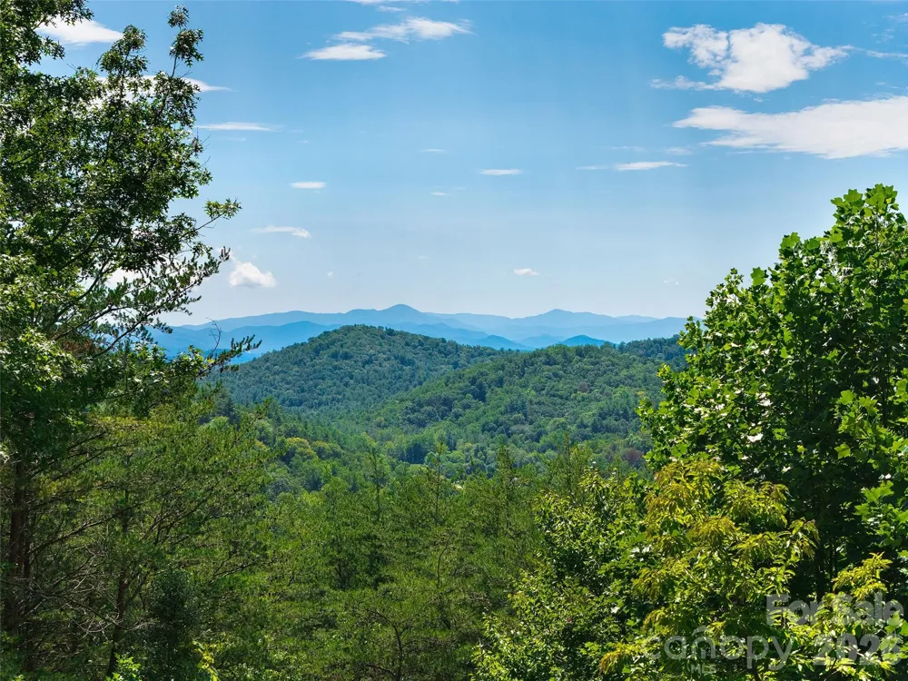225 Long Branch Road Swannanoa, NC 28778