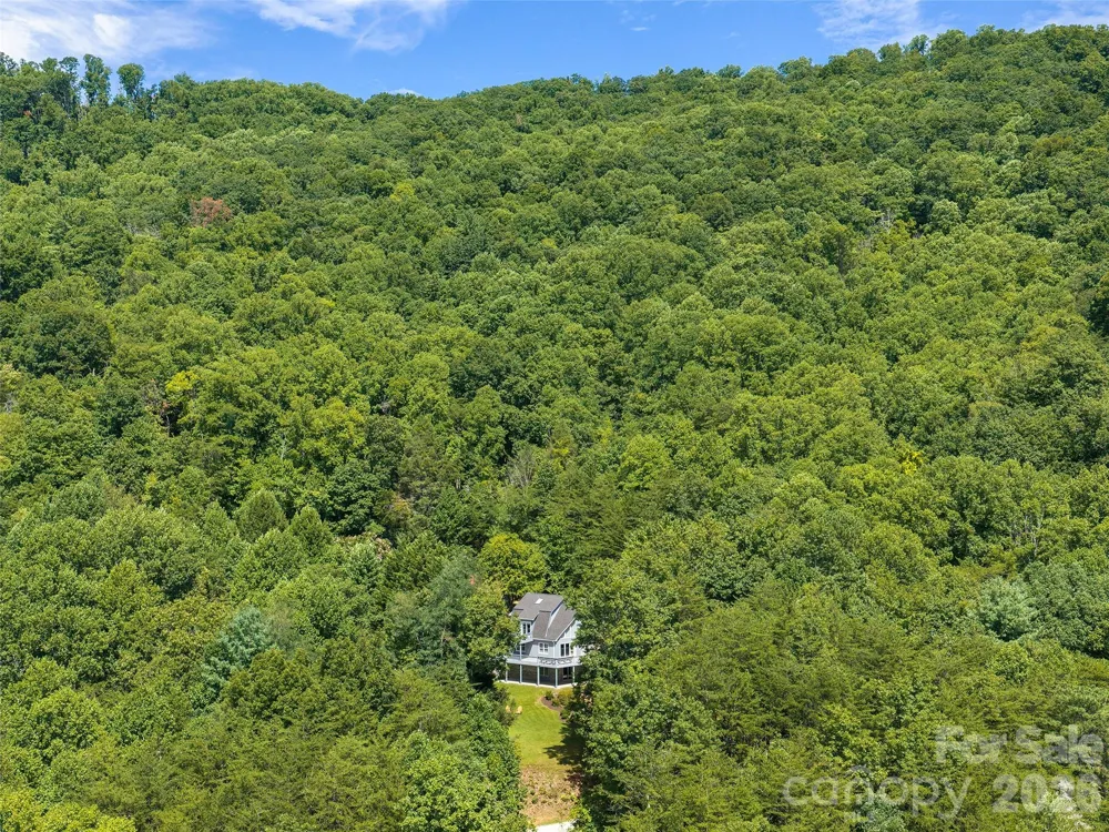 225 Long Branch Road Swannanoa, NC 28778
