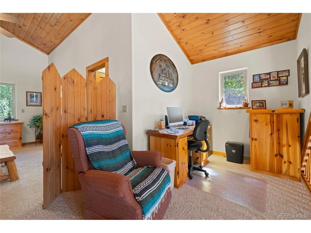 59 Tabor Drive Leadville, CO 80461