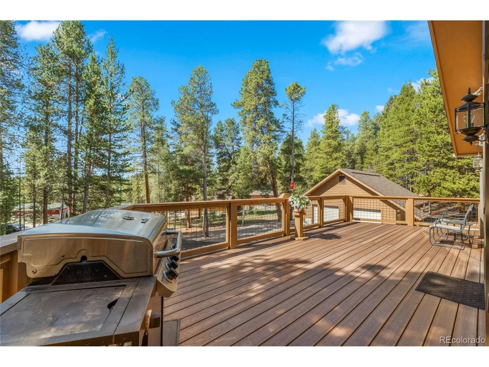 59 Tabor Drive Leadville, CO 80461