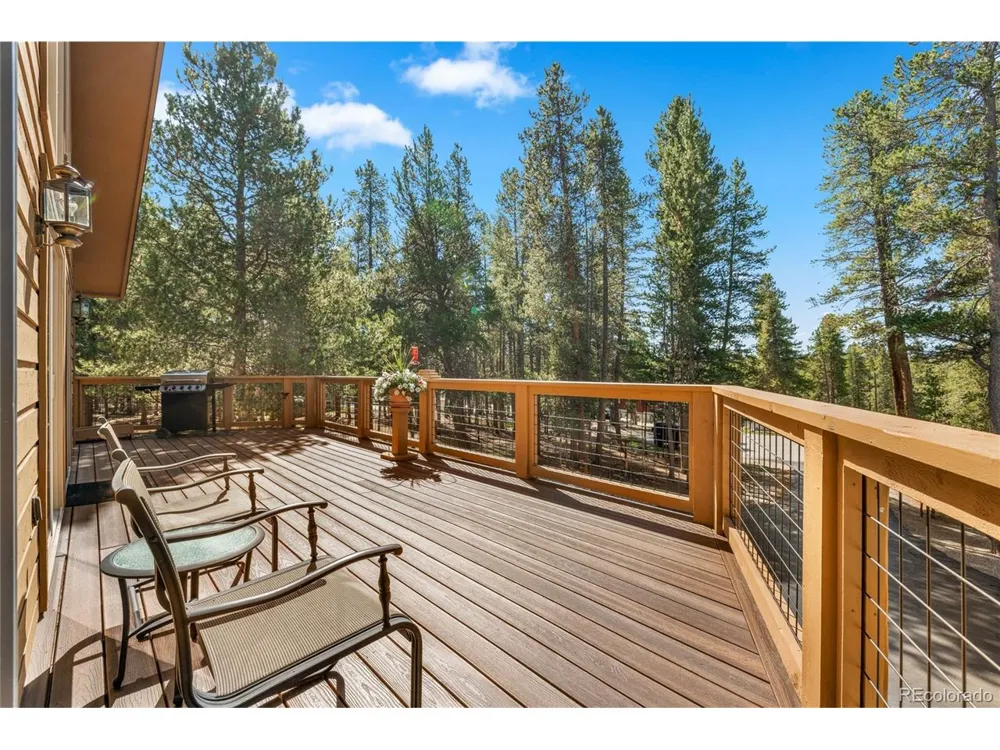 59 Tabor Drive Leadville, CO 80461
