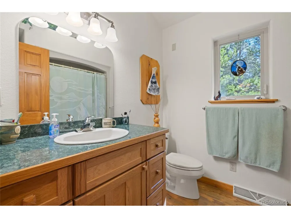 59 Tabor Drive Leadville, CO 80461