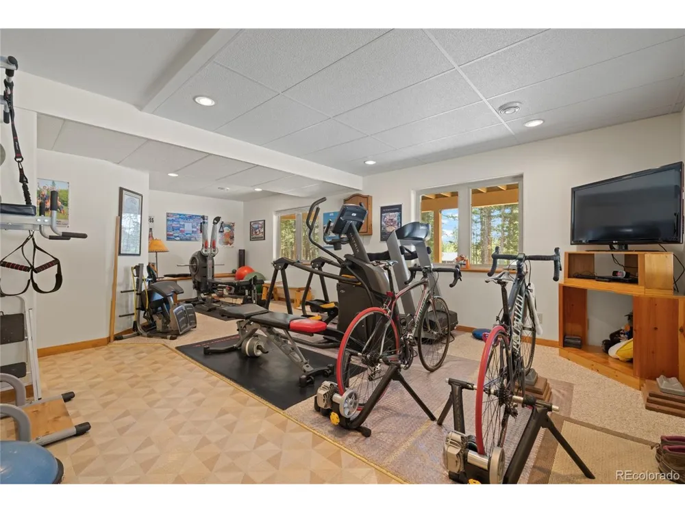 59 Tabor Drive Leadville, CO 80461