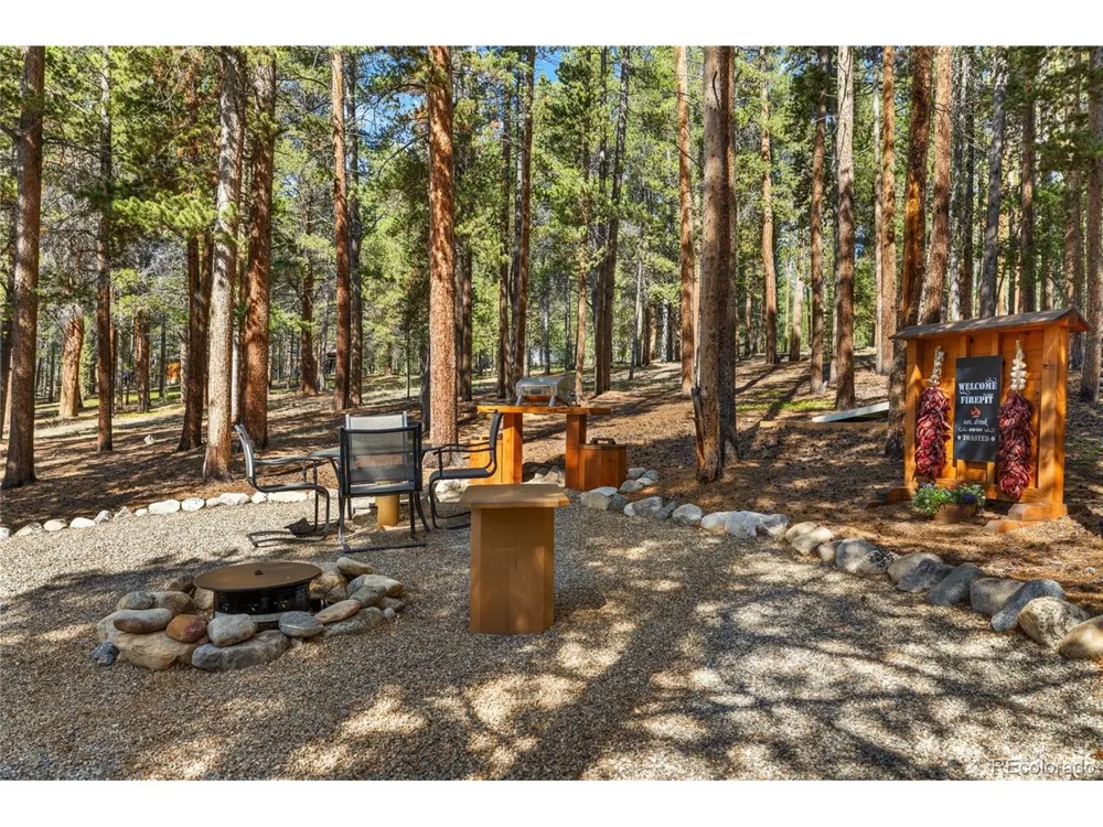 59 Tabor Drive Leadville, CO 80461