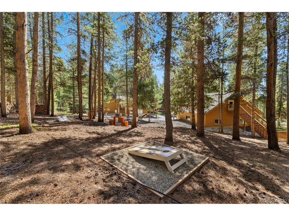 59 Tabor Drive Leadville, CO 80461