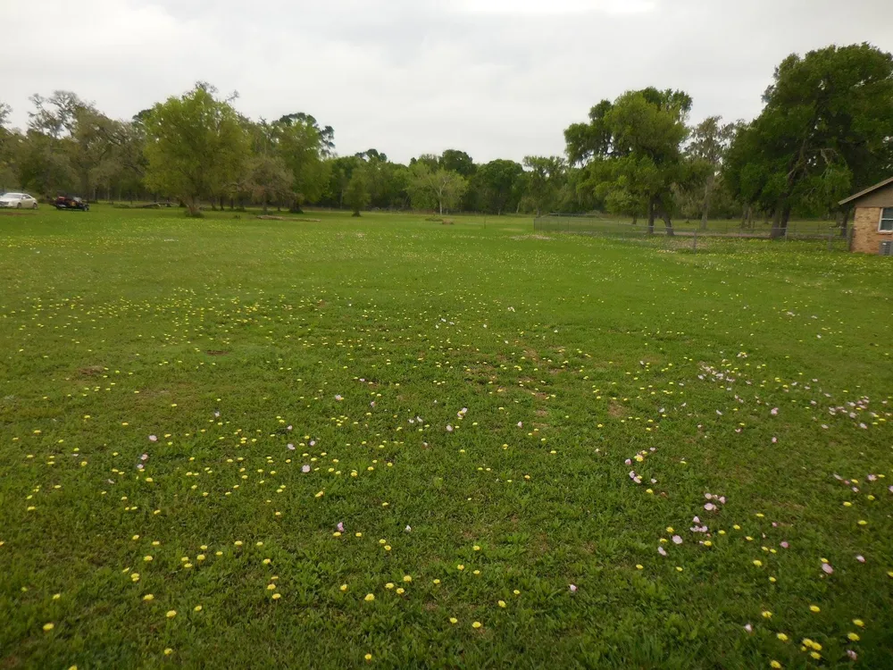 17 County Road 231 Wadsworth, TX 77483