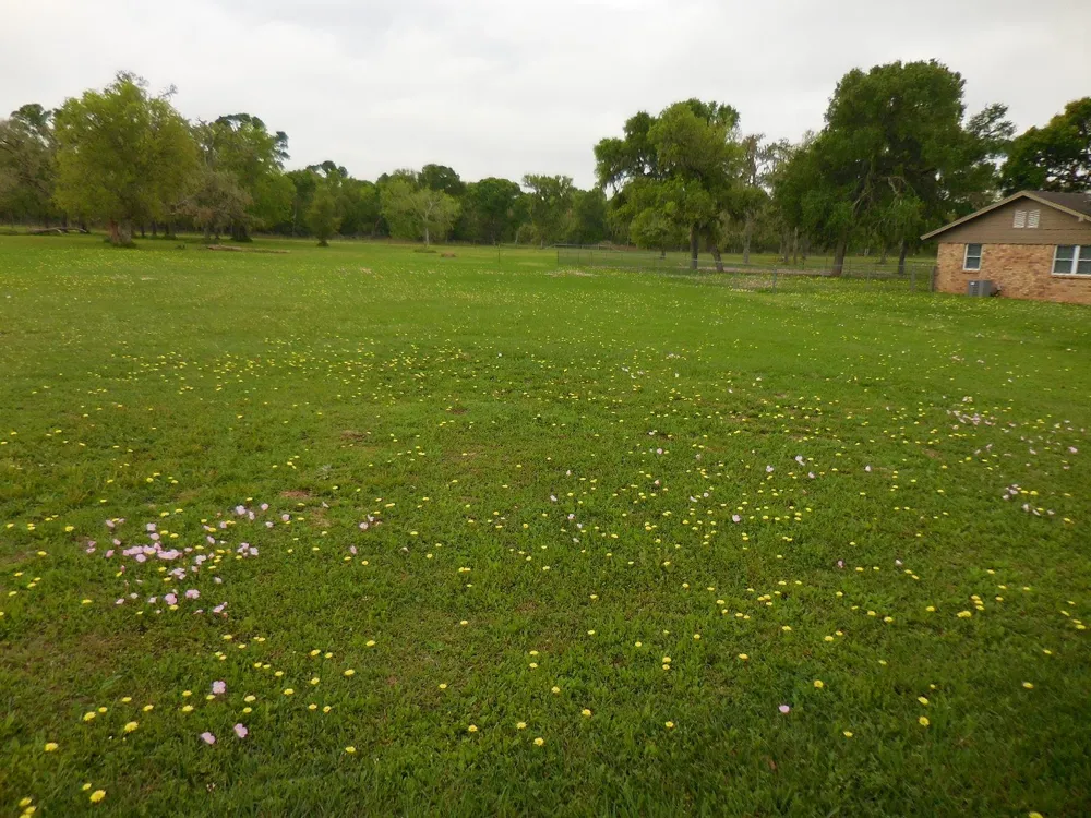 17 County Road 231 Wadsworth, TX 77483
