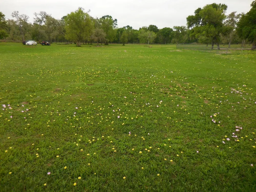 17 County Road 231 Wadsworth, TX 77483