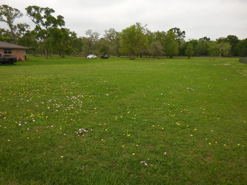 17 County Road 231 Wadsworth, TX 77483