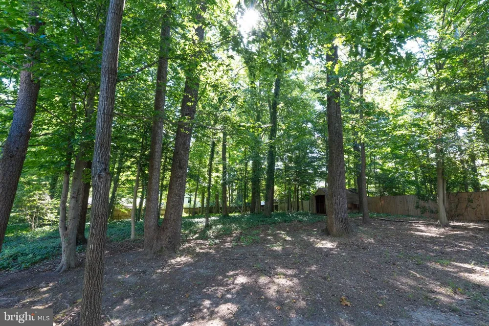 6905 HUNTSMAN BOULEVARD Springfield, VA 22153