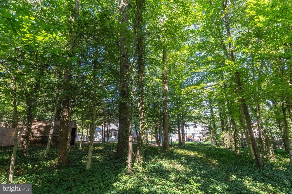 6905 HUNTSMAN BOULEVARD Springfield, VA 22153