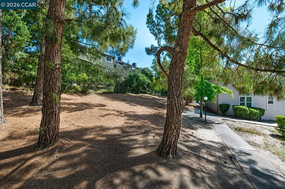 395 Camelback Rd #2 Pleasant Hill, CA 94523