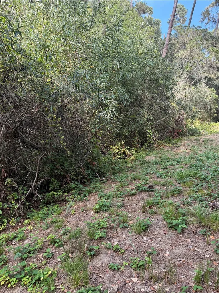 Sheffield Street Cambria, CA 93428