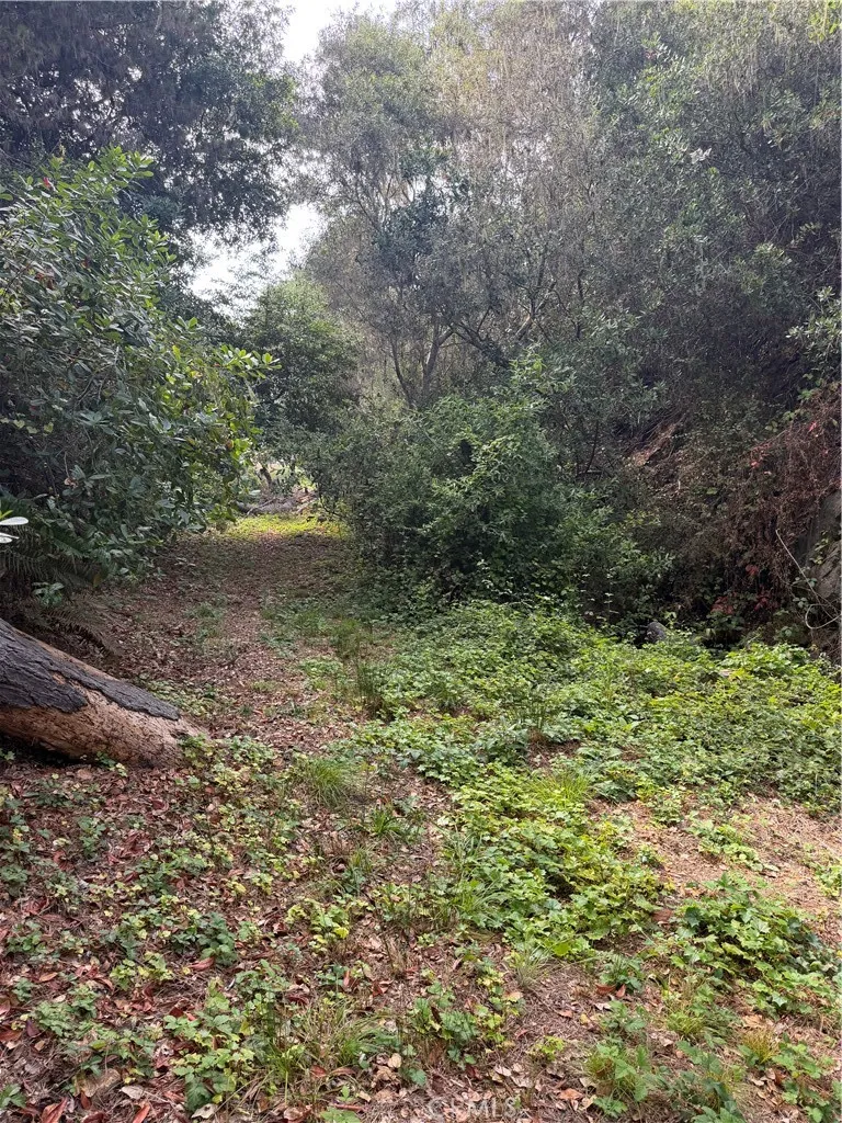 Sheffield Street Cambria, CA 93428