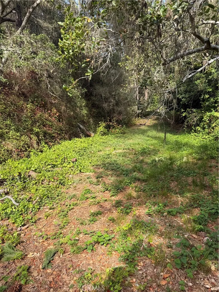 Sheffield Cambria, CA 93428