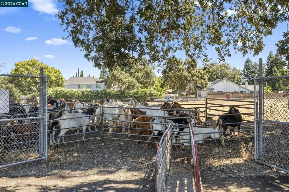 1320 Hookston Rd Concord, CA 94518