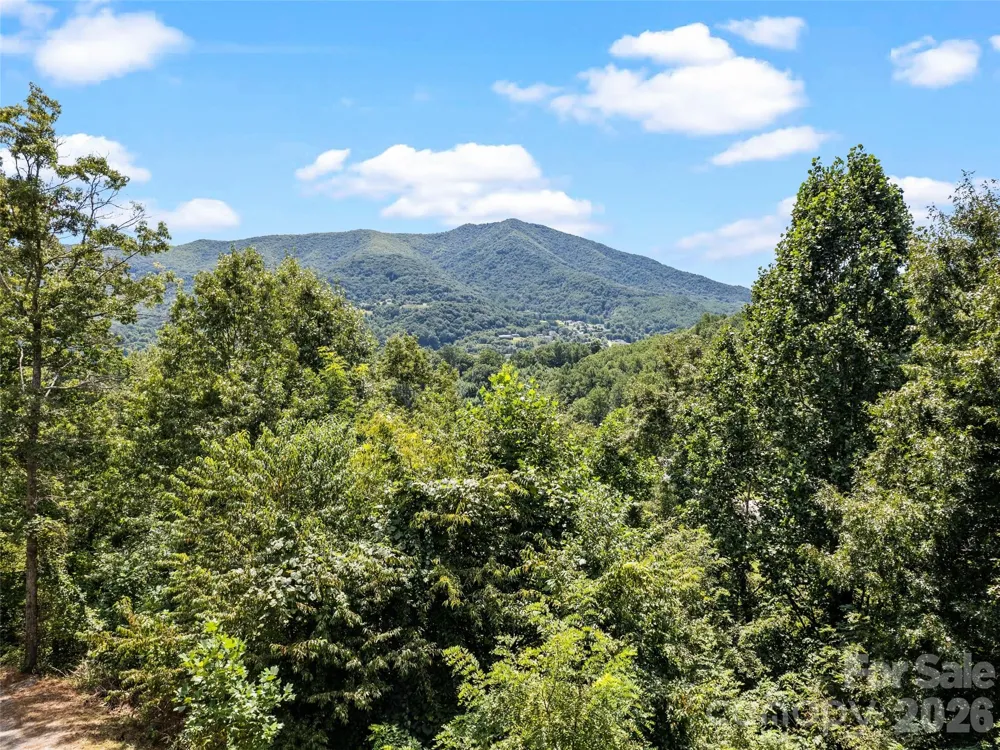 785 Orion Davis Road Waynesville, NC 28786