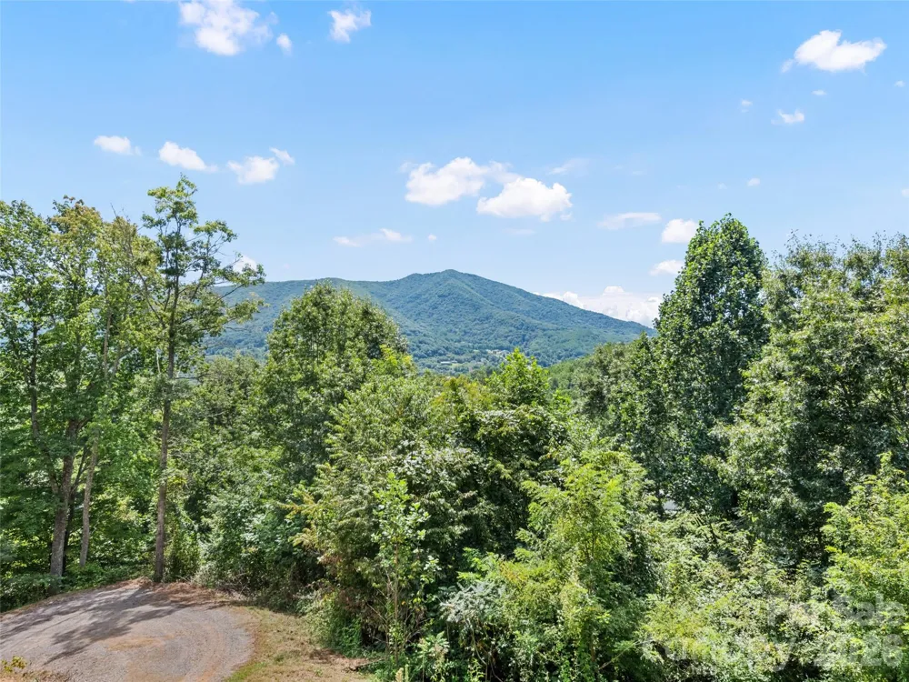 785 Orion Davis Road Waynesville, NC 28786