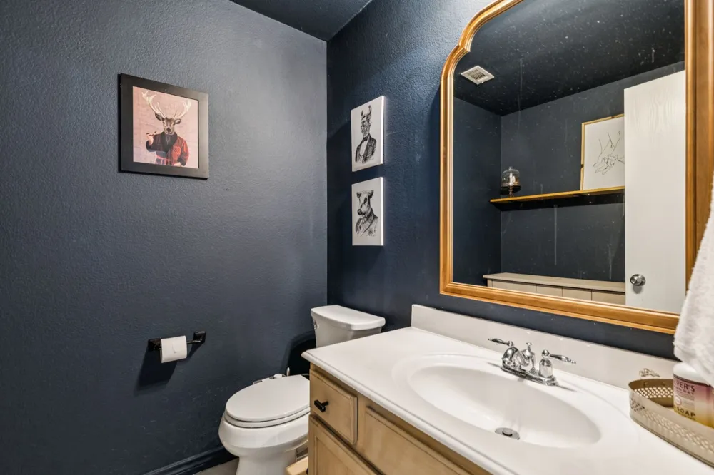 1509 Cherokee Rose Trail Savannah, TX 76227