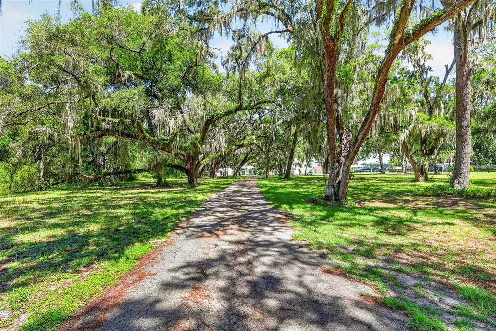 10639 SE SUNSET HARBOR ROAD Summerfield, FL 34491