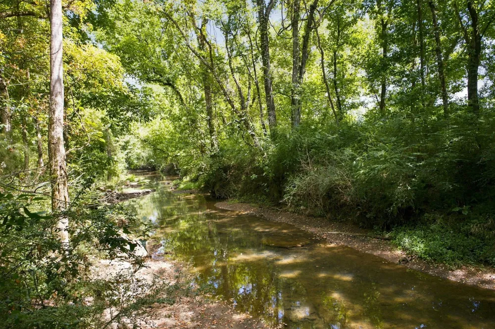 6821 Springwater St Smyrna, TN 37167