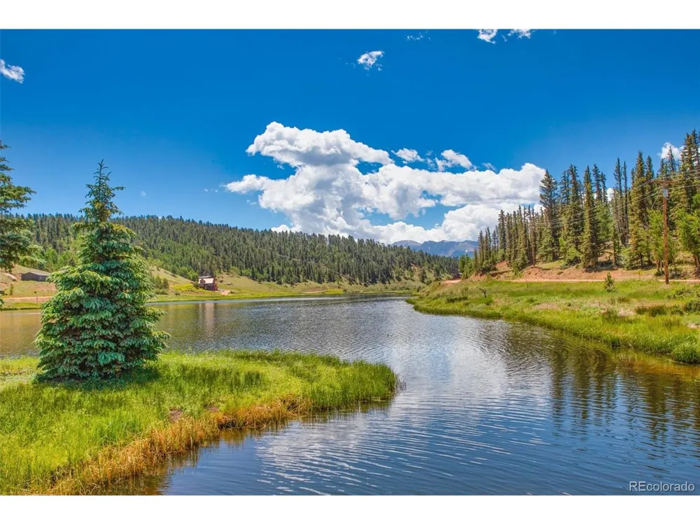 94 Pinewood Circle Divide, CO 80814