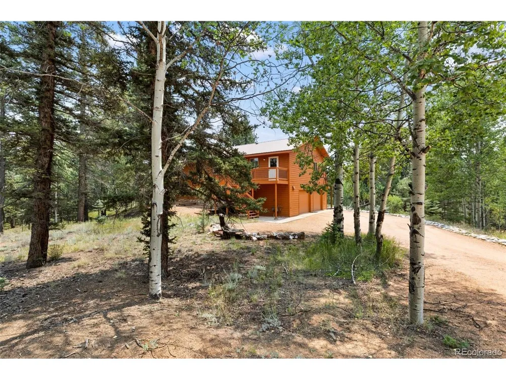 94 Pinewood Circle Divide, CO 80814
