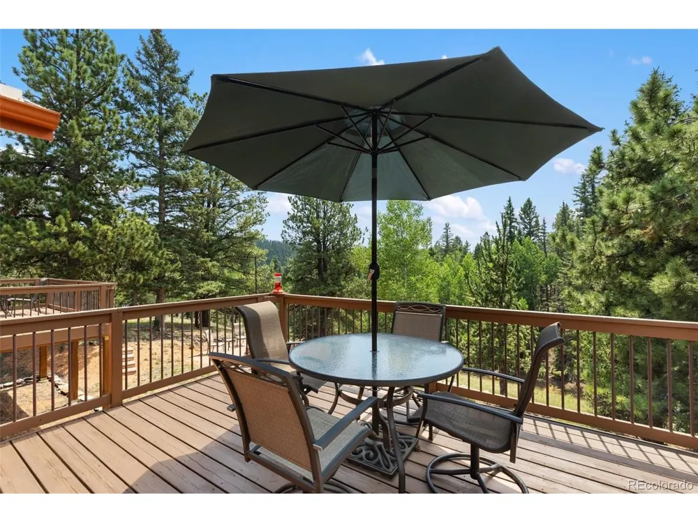 94 Pinewood Circle Divide, CO 80814