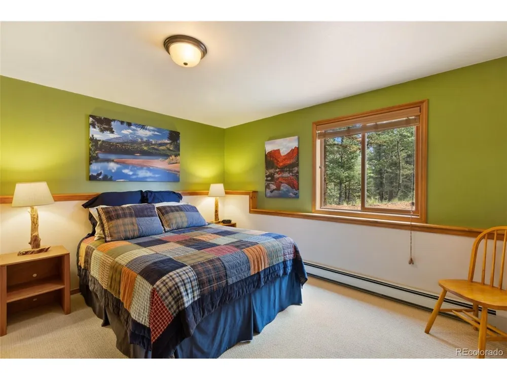 94 Pinewood Circle Divide, CO 80814