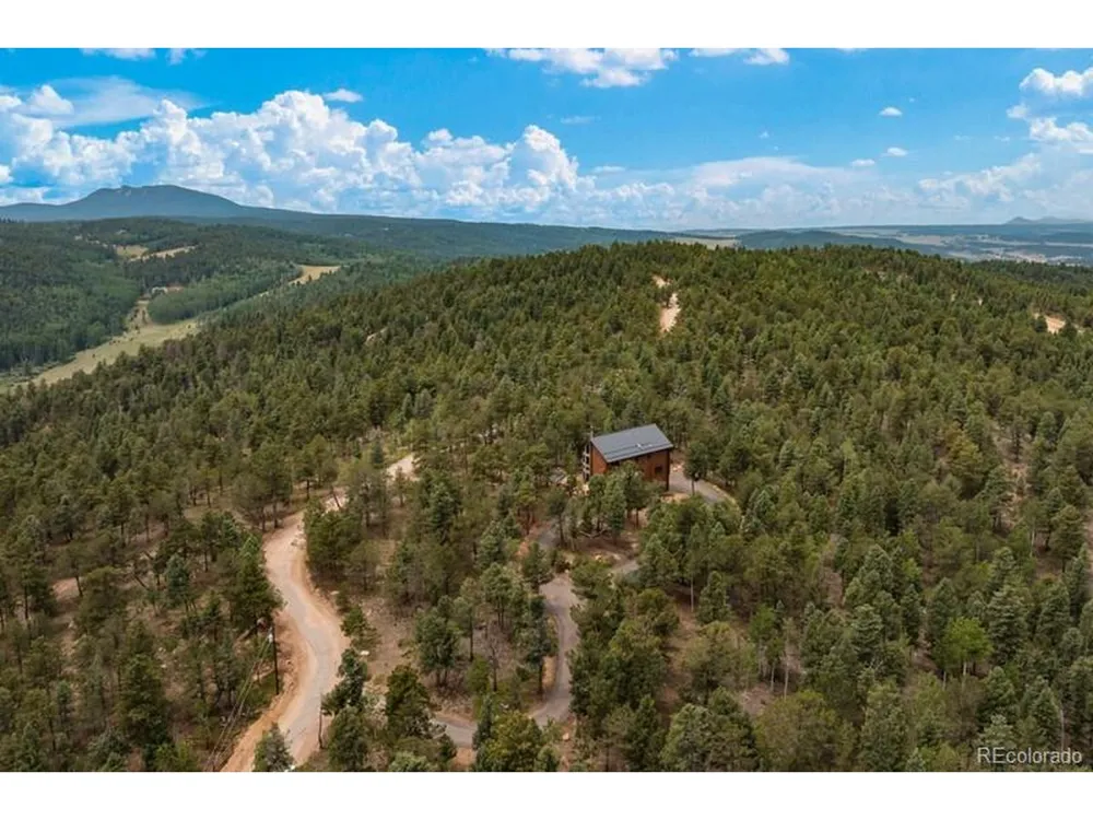 9 Arapahoe Street Woodland Park, CO 80863