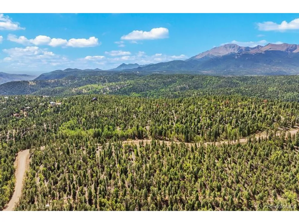 9 Arapahoe Street Woodland Park, CO 80863