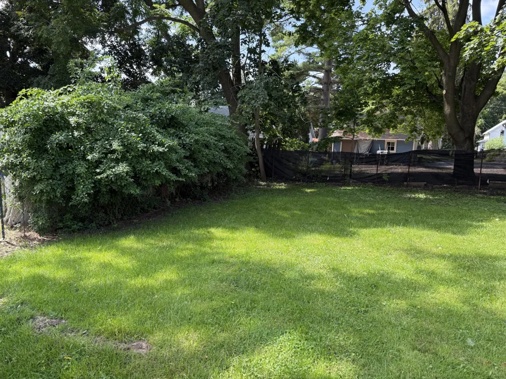 313 Morse Street Ionia, MI 48846