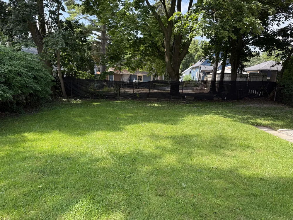 313 Morse Street Ionia, MI 48846