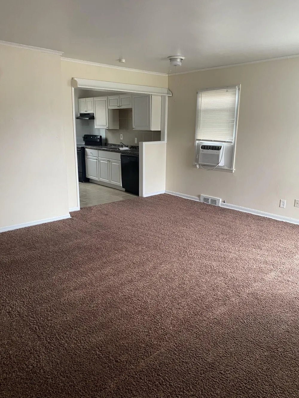 10641 S Troy Street Oak Park, MI 48237