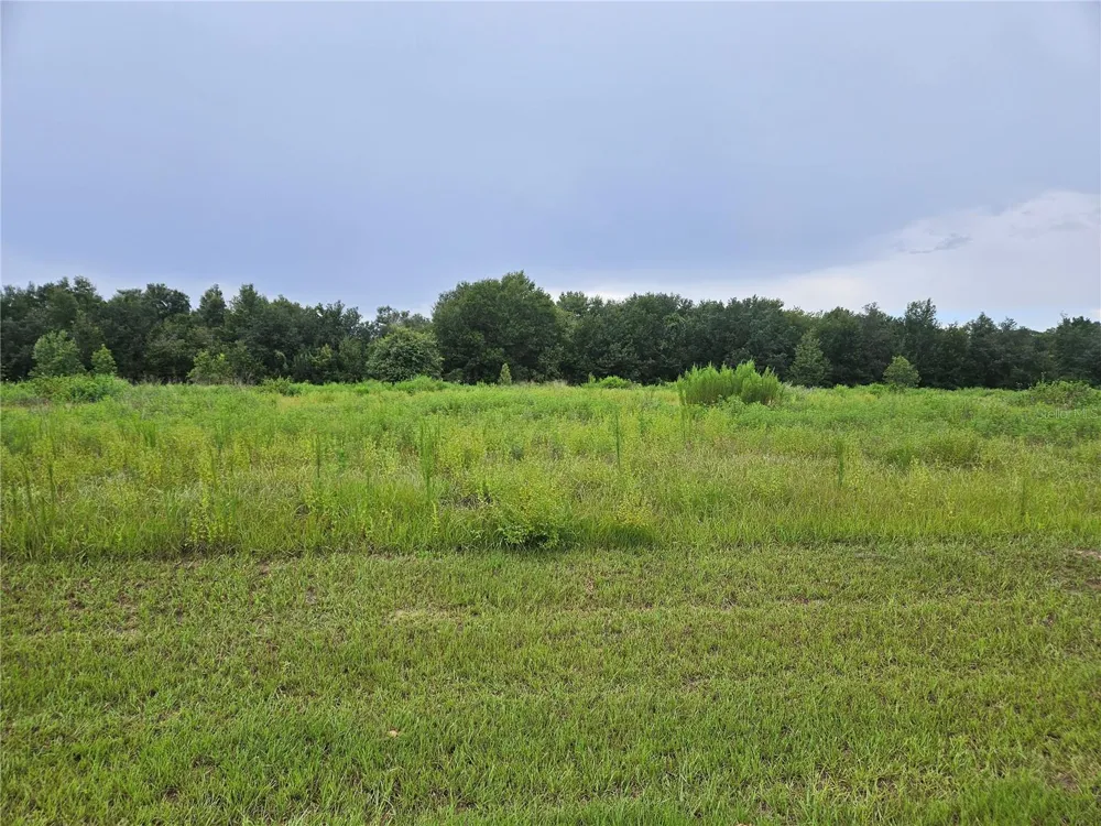 8881 VALERIE COURT Zephyrhills, FL 33540