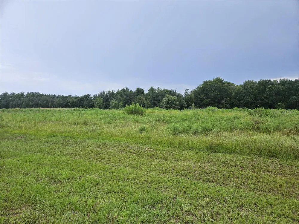 8881 VALERIE COURT Zephyrhills, FL 33540