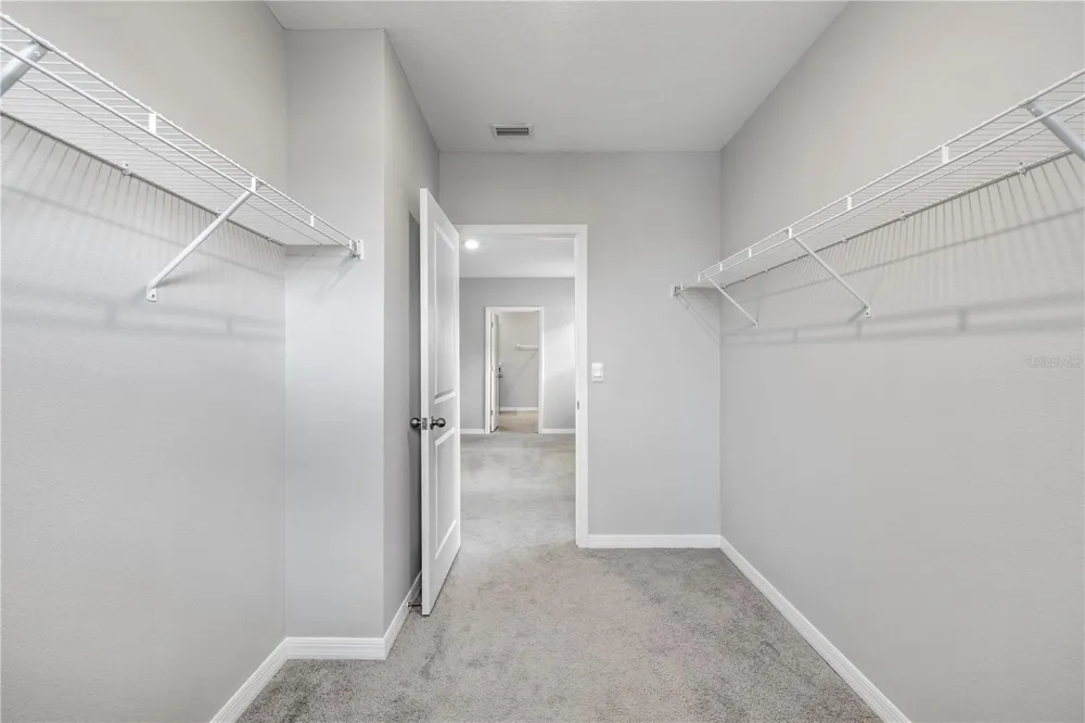 9294 FORGE BREEZE LOOP Wesley Chapel, FL 33545