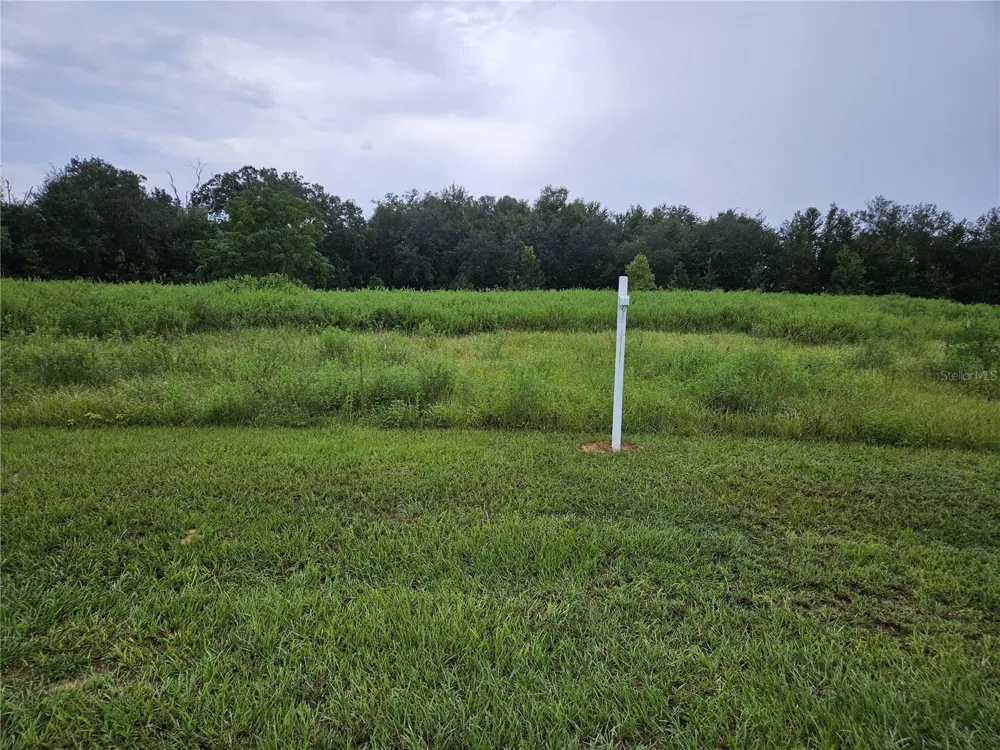 8801 VALERIE COURT Zephyrhills, FL 33540