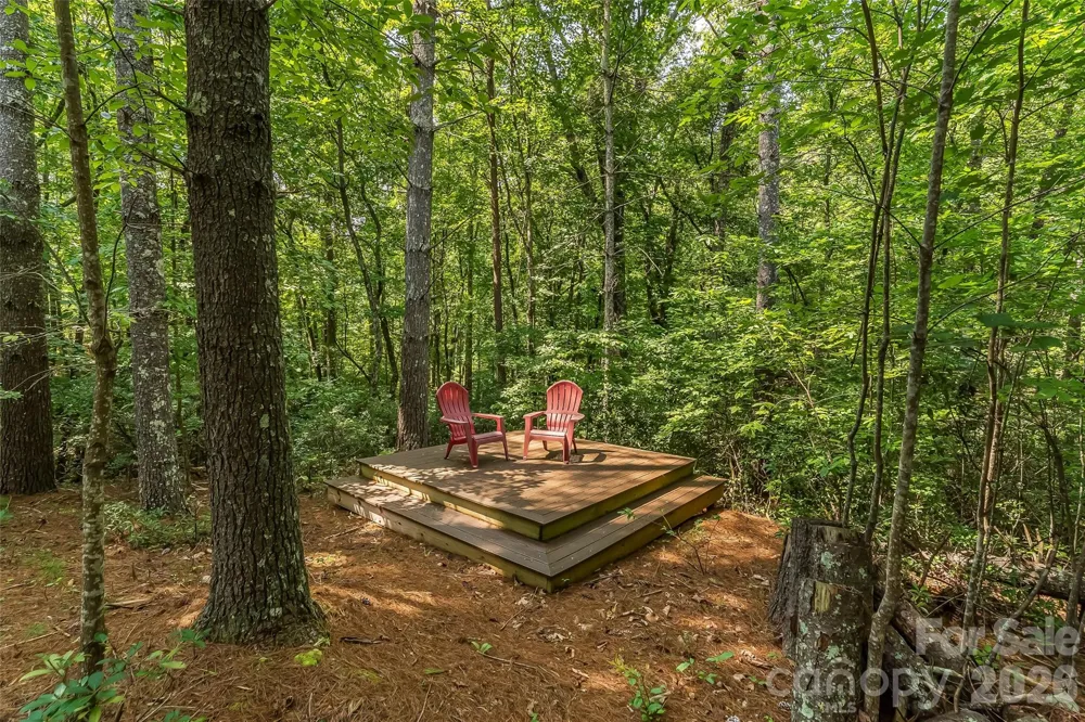 3201 Donahue Drive Nebo, NC 28761