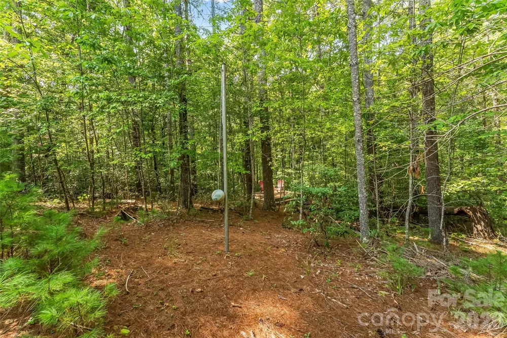 3201 Donahue Drive Nebo, NC 28761
