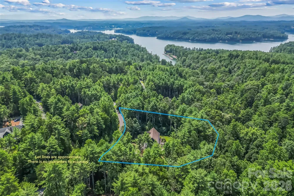 3201 Donahue Drive Nebo, NC 28761