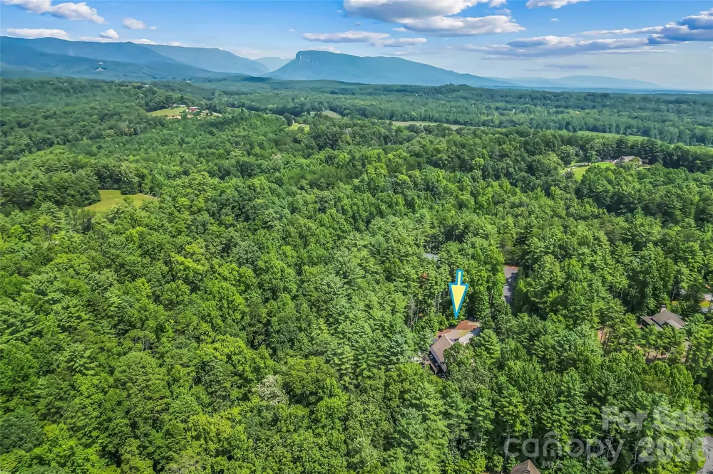 3201 Donahue Drive Nebo, NC 28761