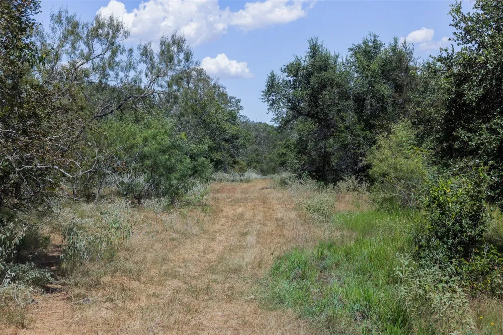 4242 Fm 1680 Waelder, TX 78959