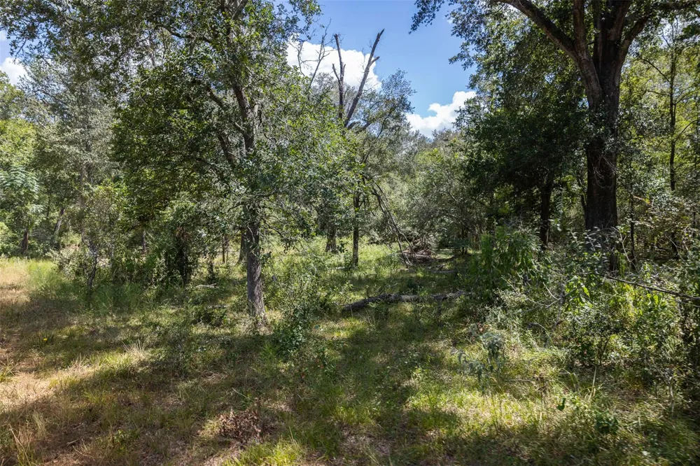 4242 Fm 1680 Waelder, TX 78959