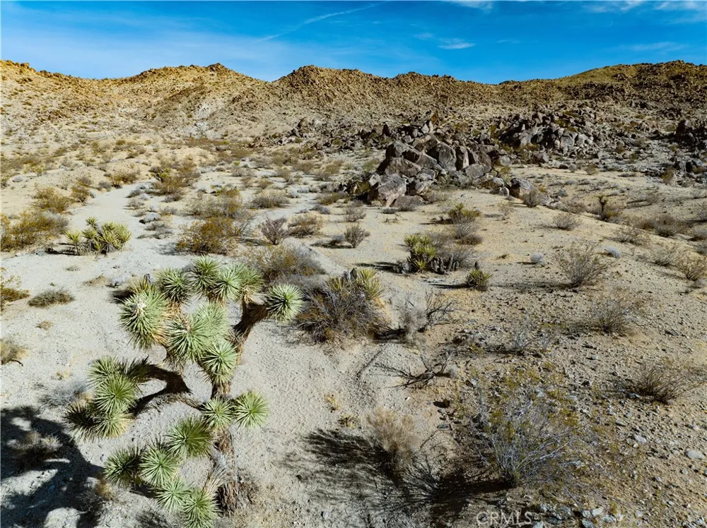 Outpost Rd Joshua Tree, CA 92252