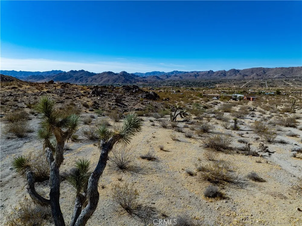 Outpost Rd Joshua Tree, CA 92252