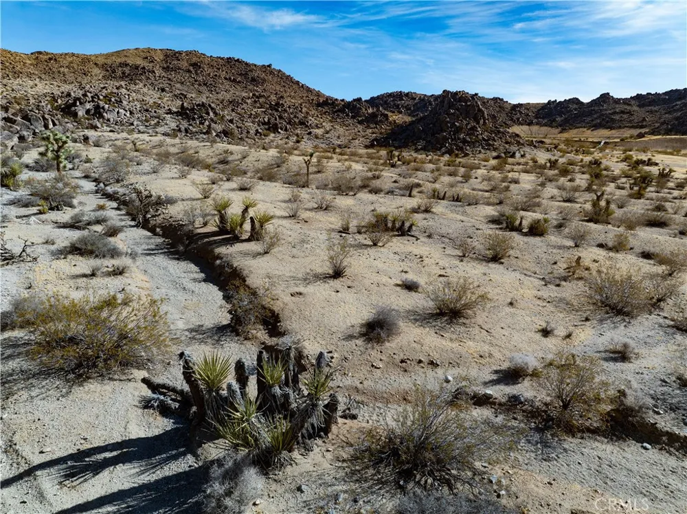 Outpost Rd Joshua Tree, CA 92252