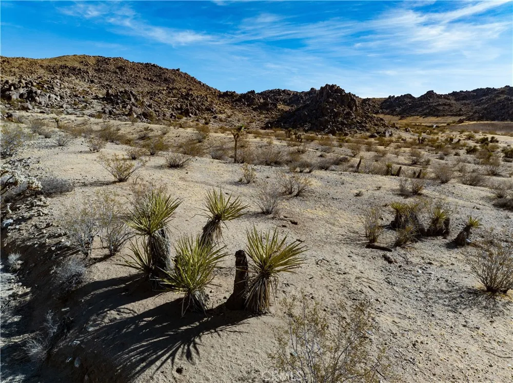 Outpost Rd Joshua Tree, CA 92252