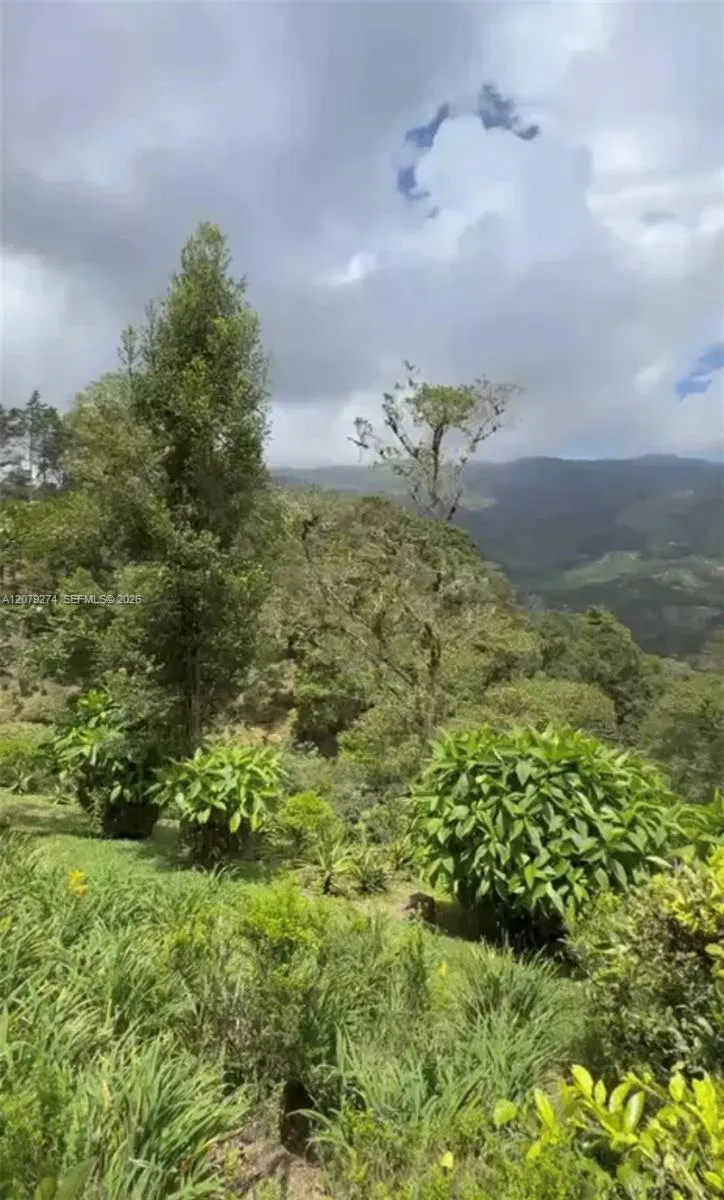 Cartago 