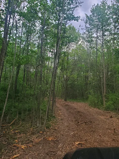 13196 County Line Road